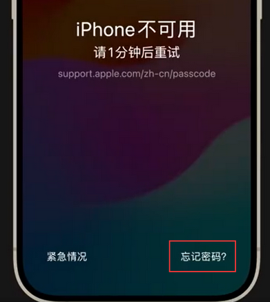 浮山苹果手机密码维修分享iPhone忘记了刚设置的密码 